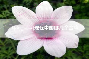 定西现在中国哪几个金牌