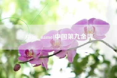 定西中国第九金牌