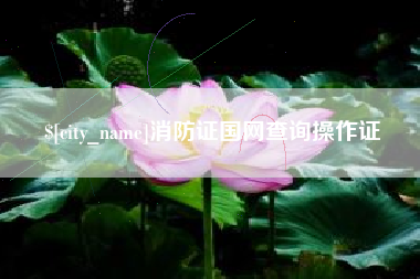 定西消防证国网查询操作证