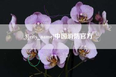 定西中国消防官方
