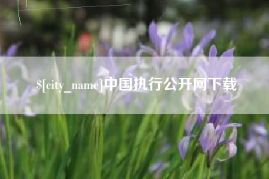 定西中国执行公开网下载