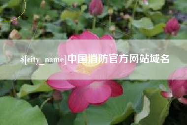 定西中国消防官方网站域名