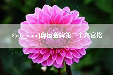 定西奥运金牌第二个九宫格