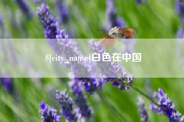 定西白色在中国