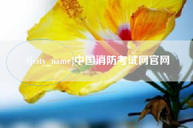 定西中国消防考试网官网