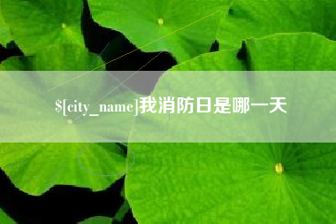 定西我消防日是哪一天