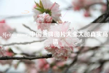 定西中国金牌图片大全大图真实高清