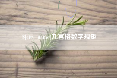 定西九宫格数字规矩