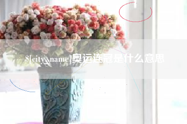 定西奥运连冠是什么意思