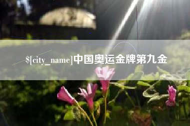定西中国奥运金牌第九金