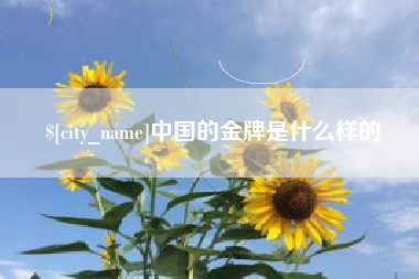定西中国的金牌是什么样的