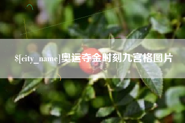 定西奥运夺金时刻九宫格图片