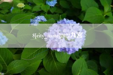 定西2022九宫