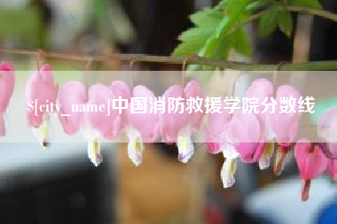 定西中国消防救援学院分数线